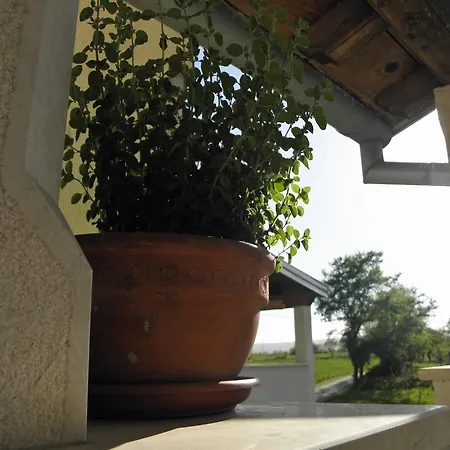 Istrian House Paronic